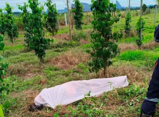 Trabalhador rural morre após choque elétrico em área rural de Itamaraju