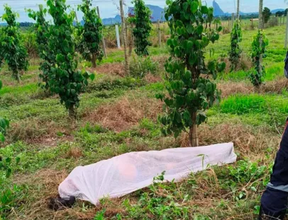 Trabalhador rural morre após choque elétrico em área rural de Itamaraju