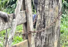 Trabalhadores em condições análogas à escravidão são resgatados pela Polícia Civil na zona rural de Guaratinga
