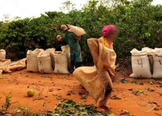 Trabalhadores que fugiam de trabalho escravo em plantação de café no Espirito Santo são resgatados pela PRF de Teixeira de Freitas