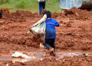 Trabalho infantil no mundo aumenta pela primeira vez em 20 anos