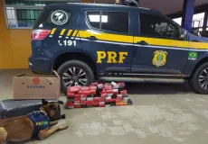 Tráfico de drogas: PRF localiza cerca de 57kg de maconha em bagagens