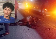 Tragédia em Eunápolis: Jovem morre em colisão entre moto e cavalo na BR-367