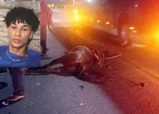 Tragédia em Eunápolis: Jovem morre em colisão entre moto e cavalo na BR-367