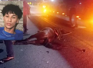 Tragédia em Eunápolis: Jovem morre em colisão entre moto e cavalo na BR-367