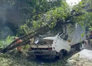 Tragédia na BR-415: árvore cai sobre caminhão e mata duas pessoas em Itabuna