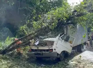 Tragédia na BR-415: árvore cai sobre caminhão e mata duas pessoas em Itabuna