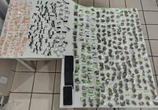 Três adolescentes são apreendidos com mais de 400 porções de drogas em Posto da Mata