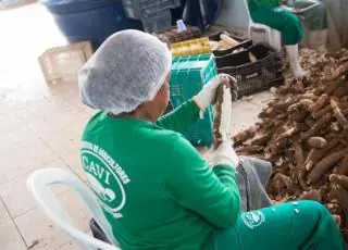 Três farinheiras sustentáveis serão inauguradas em Alcobaça nesta sexta-feira (9)