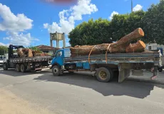 Três homens suspeitos de furto de madeira são presos; dois caminhões e dois motosserras foram apreendidos