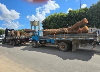 Três homens suspeitos de furto de madeira são presos; dois caminhões e dois motosserras foram apreendidos