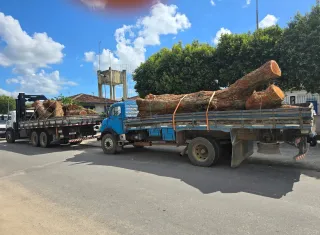 Três homens suspeitos de furto de madeira são presos; dois caminhões e dois motosserras foram apreendidos