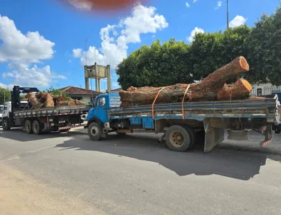 Três homens suspeitos de furto de madeira são presos; dois caminhões e dois motosserras foram apreendidos