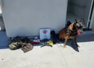 Trio é preso e drogas são apreendidas com ajuda de cão policial em Porto Seguro