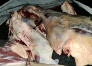 Uma tonelada de carne oriunda de abate clandestino é apreendida após denúncia em Itamaraju