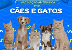Vacinação antirrábica é realizada em Vereda neste sábado e reforça importância da prevenção