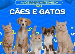 Vacinação antirrábica é realizada em Vereda neste sábado e reforça importância da prevenção