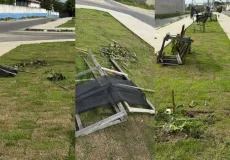 Vandalismo danifica projeto de arborização na Avenida Nova Venécia em Teixeira de Freitas