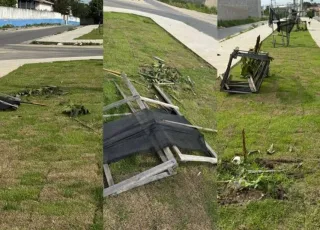 Vandalismo danifica projeto de arborização na Avenida Nova Venécia em Teixeira de Freitas