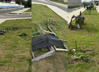 Vandalismo danifica projeto de arborização na Avenida Nova Venécia em Teixeira de Freitas