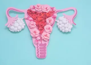 Veja as diferenças entre endometriose e síndrome do ovário policístico