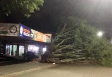 Vendaval provoca destruição em Teixeira de Freitas; árvores caem, semáforo é derrubado e igreja fica destelhada