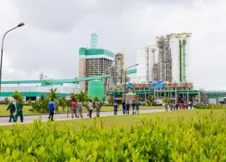 Veracel atualiza plataforma Da Bahia para o Mundo