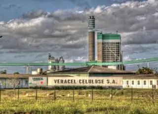 Veracel Celulose divulga edital para contratação de estagiário nível superior – Área de Desenvolvimento Humano Organizacional