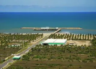 Veracel completa três anos transportando celulose só por via marítima