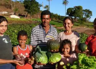 Veracel e Universidade Federal do Sul da Bahia assinam convênio para desenvolvimento da agricultura familiar