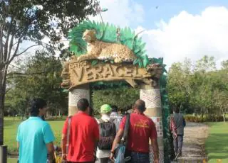 Veracel promove encontro com jornalistas do extremo sul na Reserva Particular de Proteção Natural (RPPN) em Porto Seguro