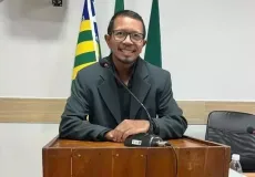Vereador morre após ataque de abelhas; parlamentar sofreu cerca de 2 mil picadas