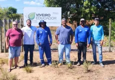 Vereda mais verde: município recebe mudas para incentivar a preservação ambiental