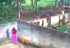 Vídeo - Bebê de 10 meses morre após ser atacada pelo pitbull do padrasto em residência no interior de São Paulo