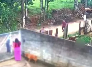 Vídeo - Bebê de 10 meses morre após ser atacada pelo pitbull do padrasto em residência no interior de São Paulo