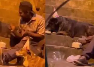 Vídeo de morador de rua cantando parabéns com cachorros emociona e viraliza nas redes sociais