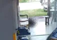 Vídeo - Medo na Aldeia Xandó: Disputa por drogas causa mais uma morte e afugenta frequentadores de Caraíva