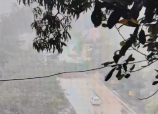 Vídeo mostra barranco caindo sobre carreta na BR 101- Pista está fechada em Pedro Canário/ES