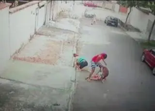 Vídeo mostra jovem salvando criança de ataque de pitbull no Rio