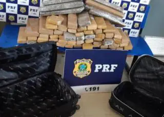 Vídeo - Passageiros de ônibus são presos pela PRF com mais de 50 quilos de maconha em bagagens