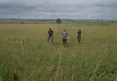 Vídeo - Tio suspeito de estuprar sobrinha de 12 anos é preso em Lajedão