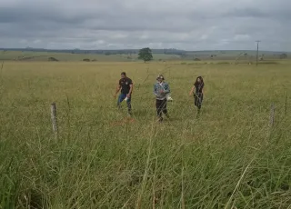 Vídeo - Tio suspeito de estuprar sobrinha de 12 anos é preso em Lajedão