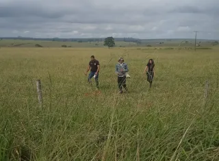 Vídeo - Tio suspeito de estuprar sobrinha de 12 anos é preso em Lajedão