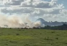 Violência agrária: Produtor rural é atacado durante colheita de café em fazenda no Prado