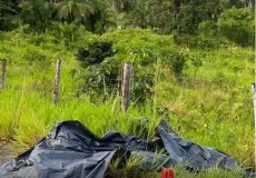 Vítimas amarradas e mortas a tiros são achadas às margens da BR-330 na Bahia
